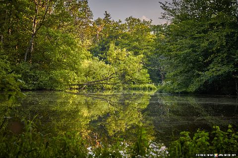 Gemeinde Tarsdorf Bezirk Braunau Huckinger See (Dirschl Johann) Österreich BR